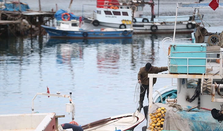 Sıcak hava balık miktarını azalttı, fiyatı yükseltti